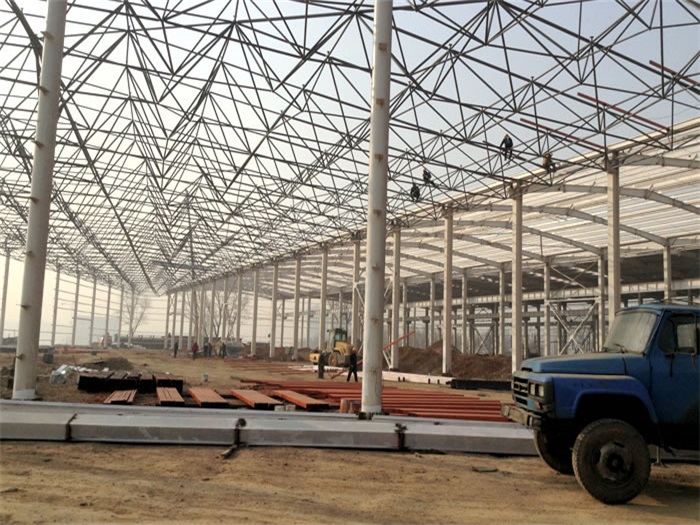 新沂网架架构工程